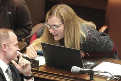 Minnesota state senator pleads not guilty to burglarizing stepmother's home