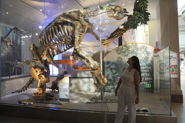 Giant sloths and mastodons coexisted with humans for millennia in Americas, new discoveries suggest