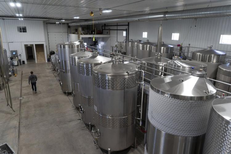 Vineyards in NY wine country push sustainability as they adapt to climate change