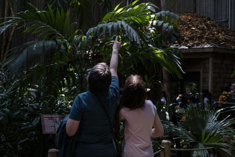 Ont-Science-Centre 08