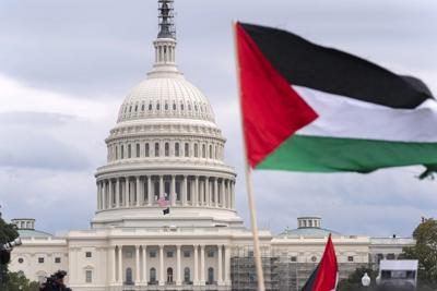Half of Asian Americans and Pacific Islanders want more US support of Palestinians, a poll shows