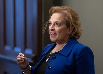 Lawyer rejects minister's claims about rules on citizenship-by-descent claims