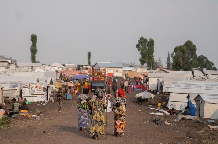 Now that mpox is a global health emergency, will it trigger another pandemic?