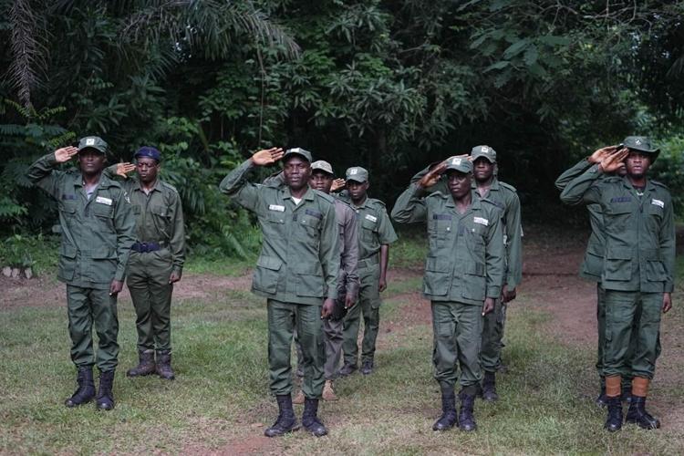 A Nigerian forest and its animals are under threat. Poachers have become rangers to protect both