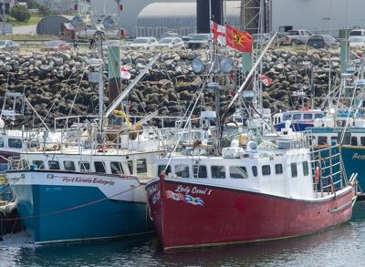 N.S. Mi'kmaq band drops case arguing federal rules don't apply to its lobster fishery