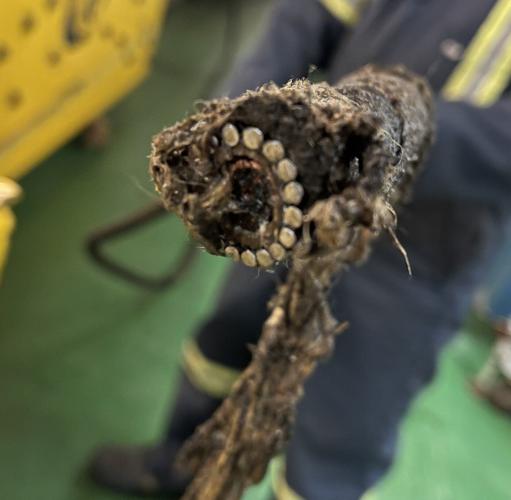 Nova Scotia man accused of severing telecom link between Nova Scotia and Newfoundland