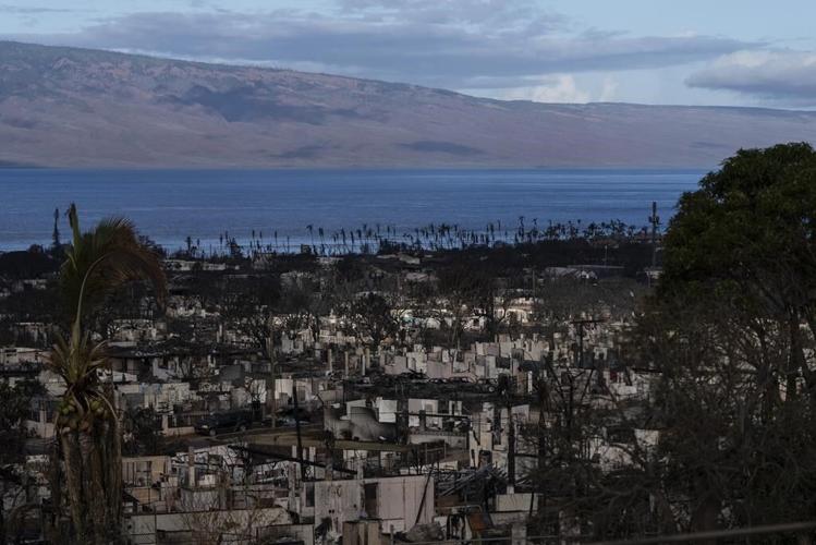 Hawaii is vowing to protect landowners on Maui from being pressured to sell after wildfires