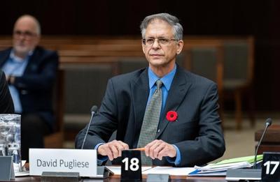 Reporter accused of being Russian spy tells MPs they fell for disinformation