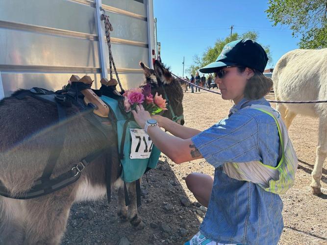 Burro racing wins over runners in backcountry ode to mining history