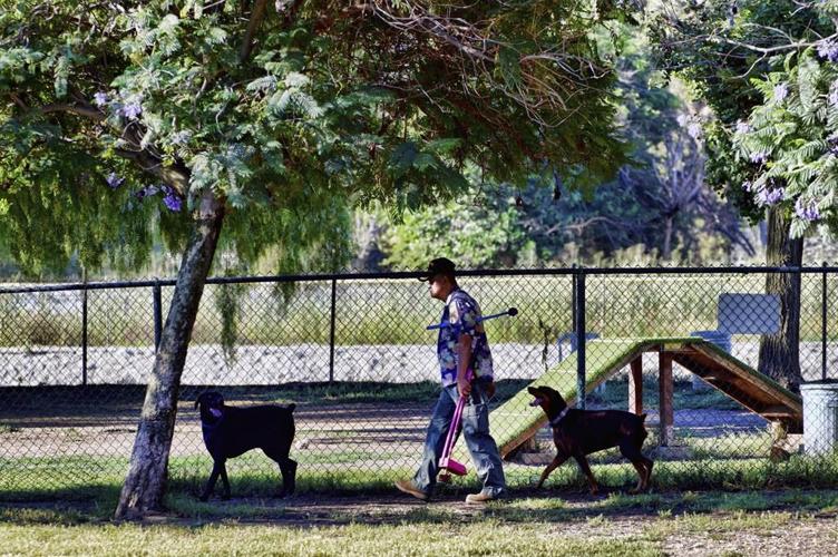 A heat wave has baked parts of the Southwest for weeks. Forecasters warn it's not cooling soon