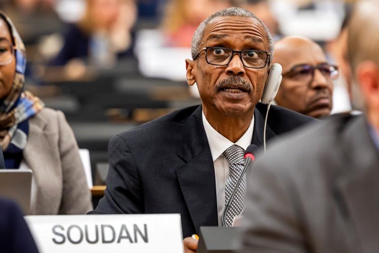 UN human rights body holds session on Sudan after killings by paramilitary in Darfur