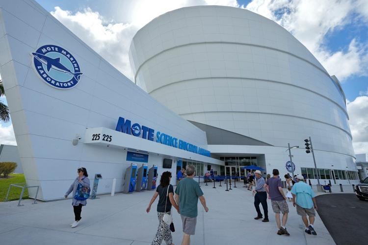 Florida's Mote Marine Laboratory relocates hundreds of marine animals to new $130M facility