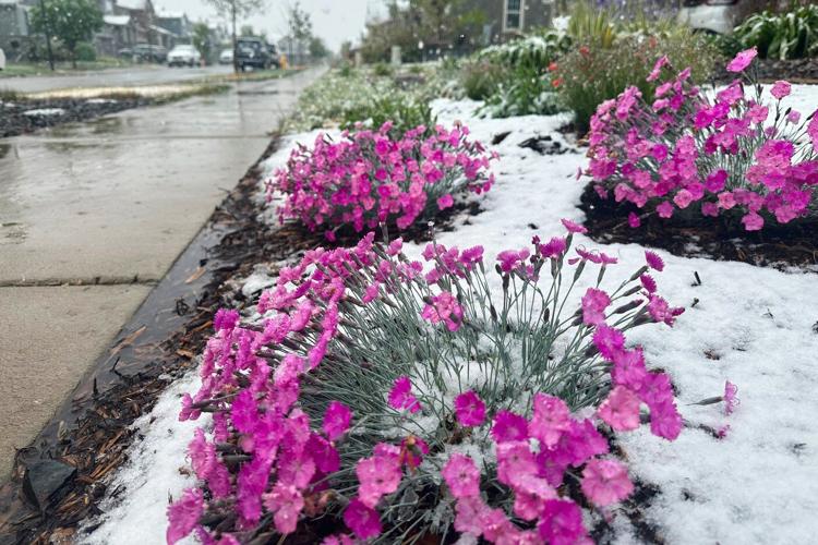 Spring plans meet snow in Denver as a late storm could be the season's biggest