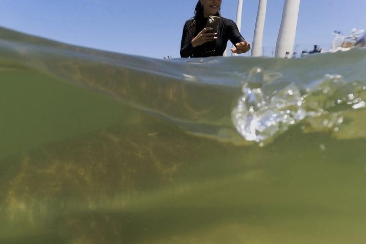 Swimmer's remains found after shark attack in waters off Israel's Mediterranean coast