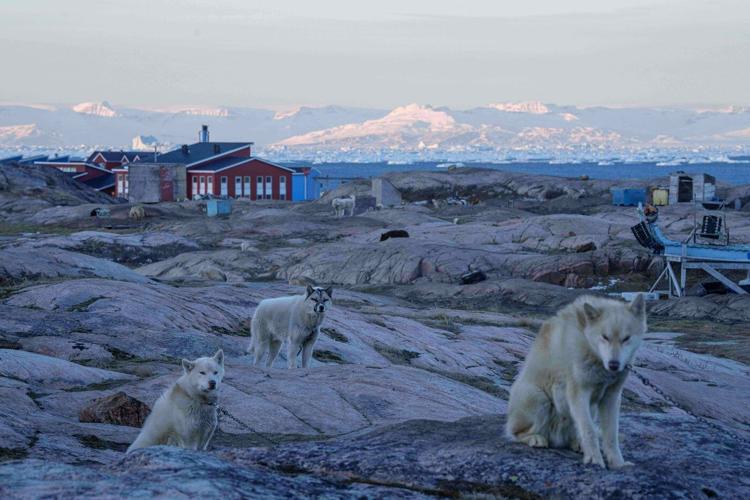 A Greenland sled dog champion fears for his culture as climate change melts the ice