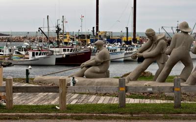 Nombre d'espèces sont affectées par le réchauffement dans le golfe du Saint-Laurent