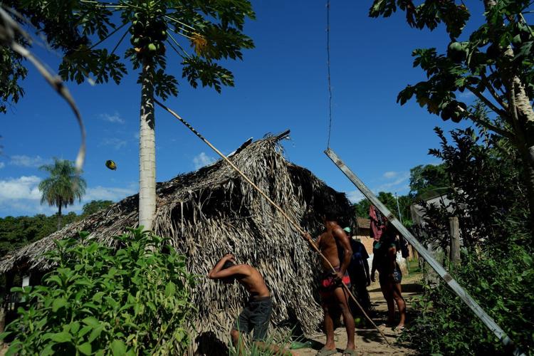 A conflict over cattle in Brazil's Amazon highlights tensions for Indigenous peoples