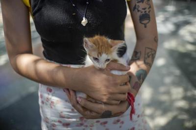 Cubans searching for a better future leave their pets behind