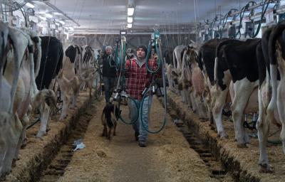 New supply management law won't save the system from Trump, experts say