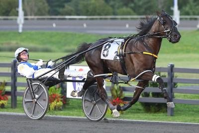 MacDonald feels, at her best, filly Chantilly could battle colts in North America Cup