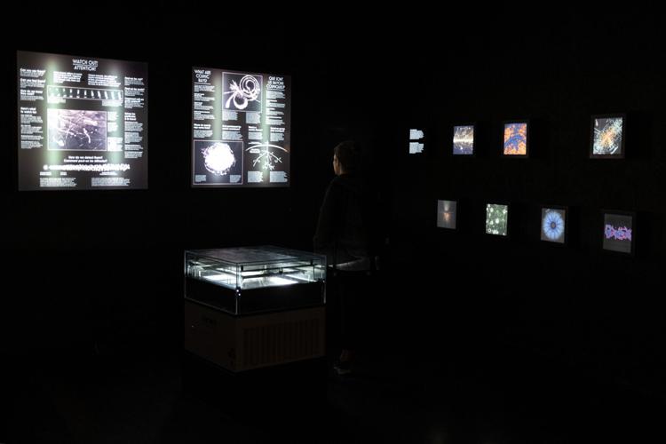 Ont-Science-Centre 13