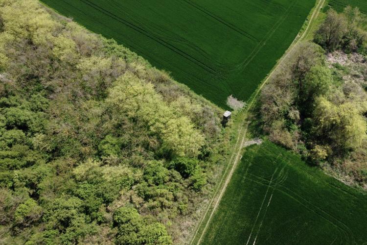 A Serbian bird-watching group uses crowdfunding to buy and preserve a woodland habitat