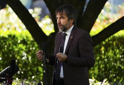 Ottawa could reap $4.4 billion from extending windfall tax to other sectors: PBO