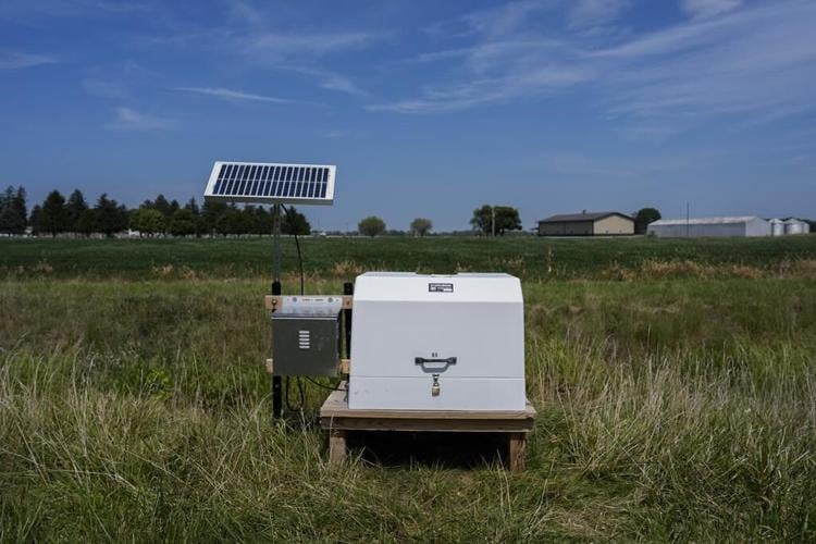 On Lake Erie, getting rid of problem algae starts with giving it less food