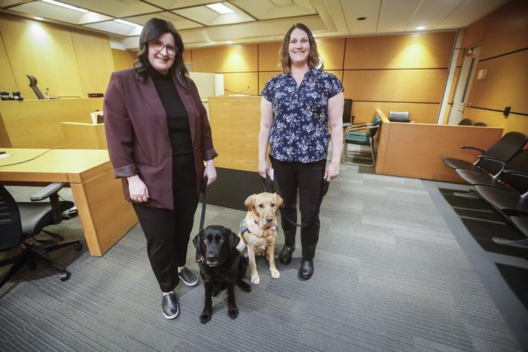 'Furry face to greet them:' How facility dogs help victims navigate the court system