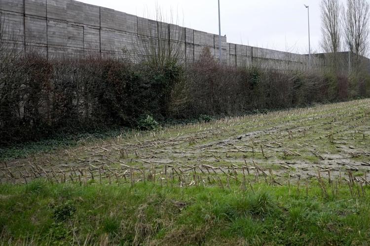 Tractor protests threaten to drive the EU's green farming policies into a ditch