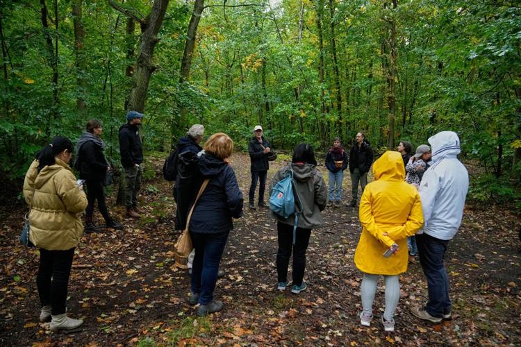 Mushroom hunting in Germany sees a revival thanks to veganism and medicinal fungi, in photos
