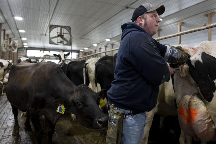 Less farmland is going for organic crops as costs and other issues take root