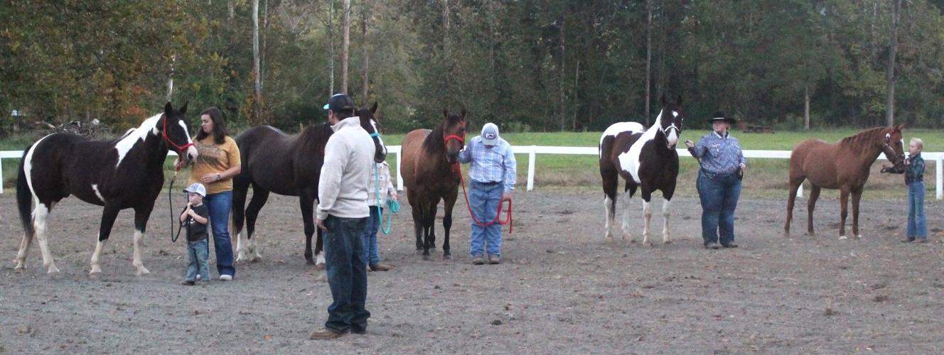 Ivanhoe twoday horse show enjoyed by all News