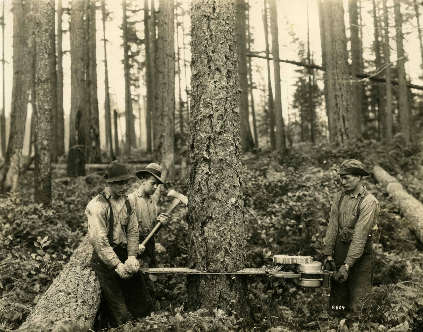 Offbeat Oregon History: Portable chainsaw invented in Oregon