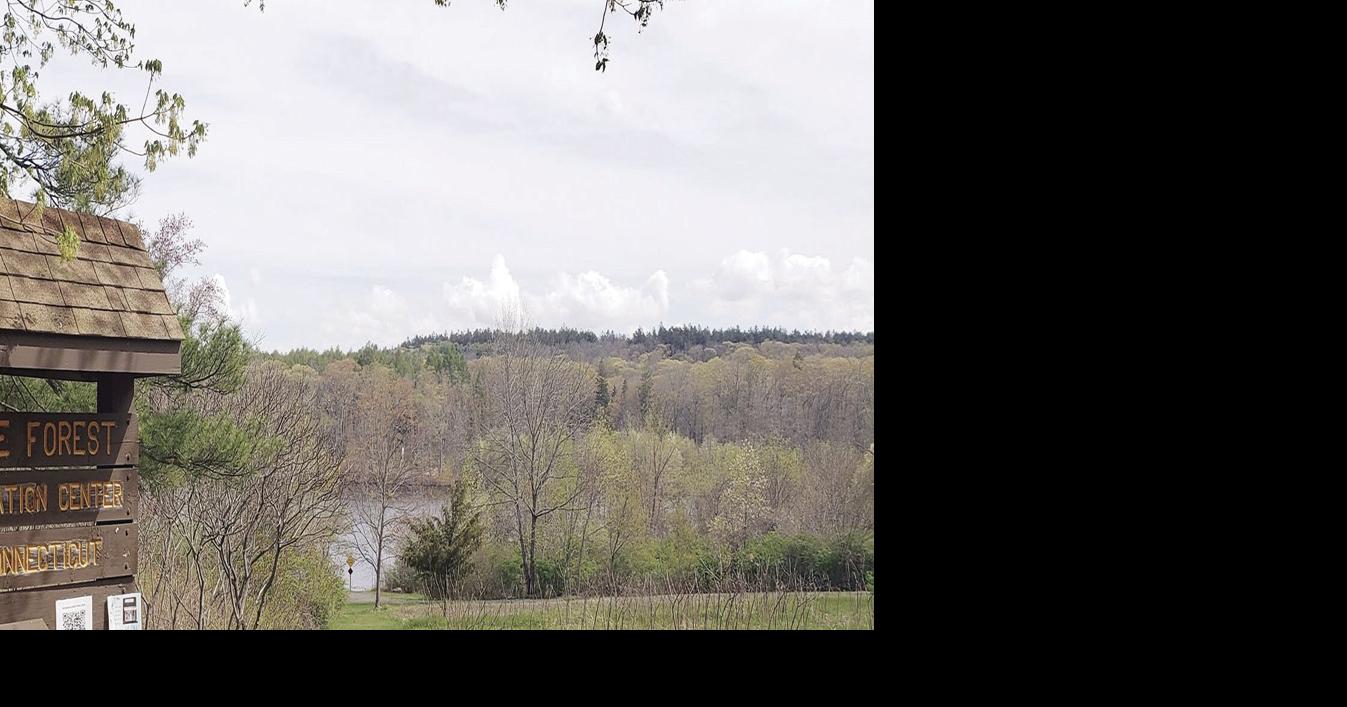 Friends of Goodwin Forest meeting set News