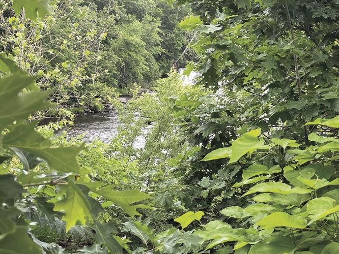 Grants will ‘move Windham forward’ News