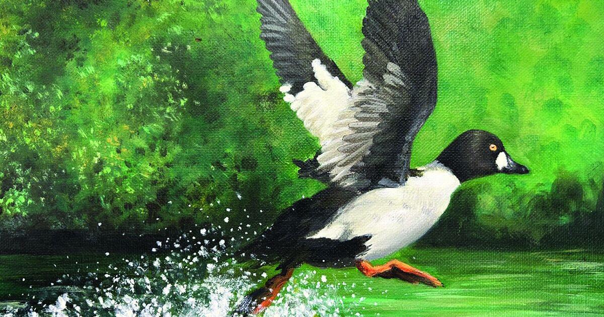 Taking Flight: Mansfield student’s art chosen for state stamp