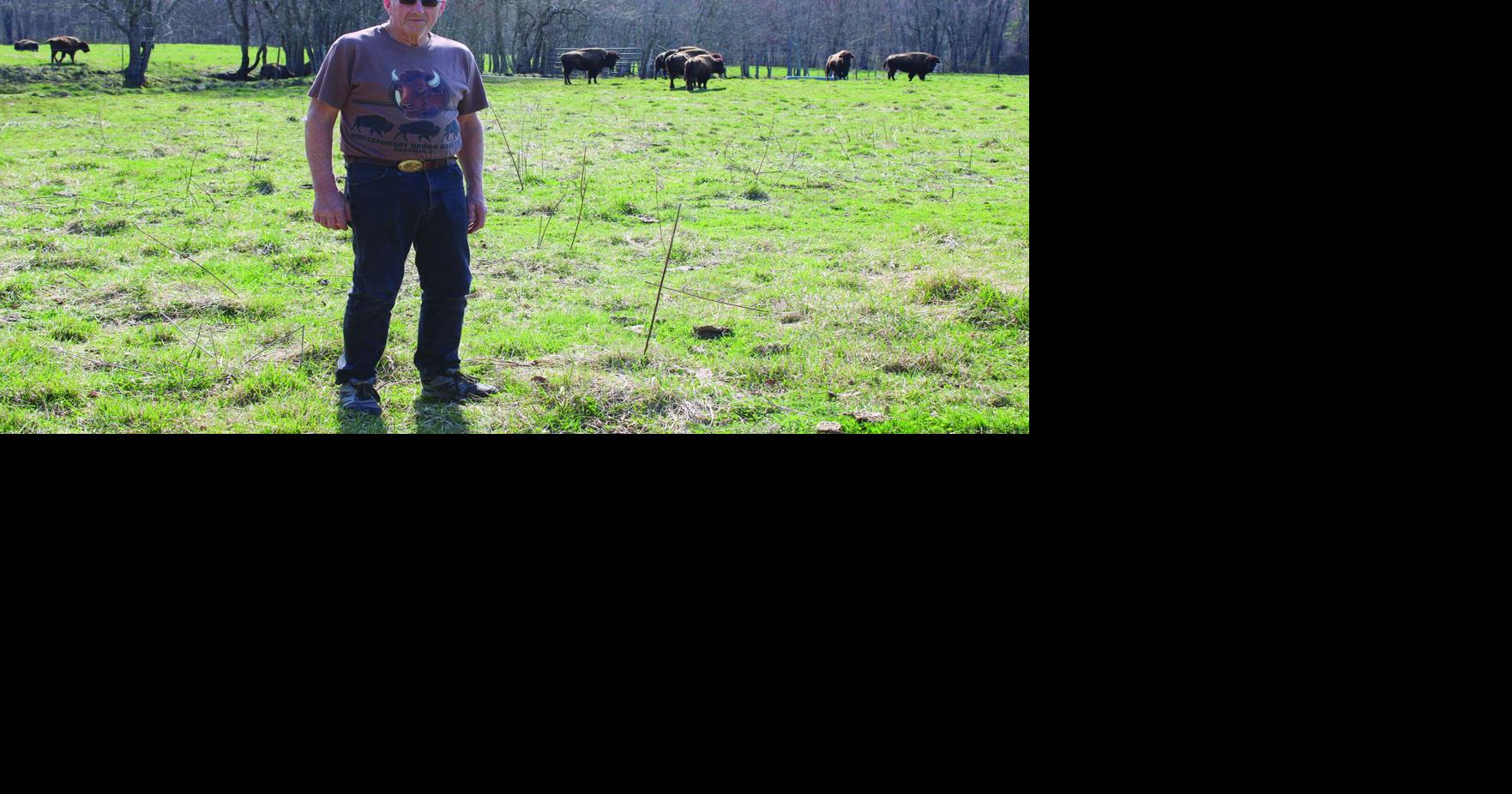 Chronicle Farm Spotlight: Creamery Brook Bison