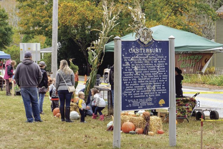 Old Home Day festival returns News