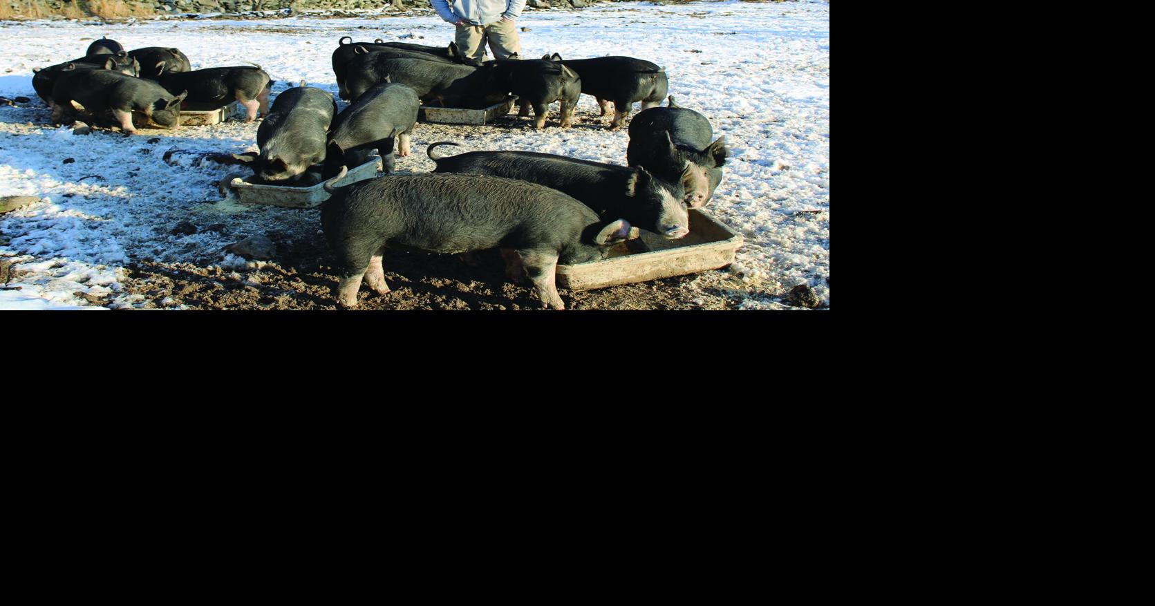 Chronicle Farm Spotlight: Proctor Hall