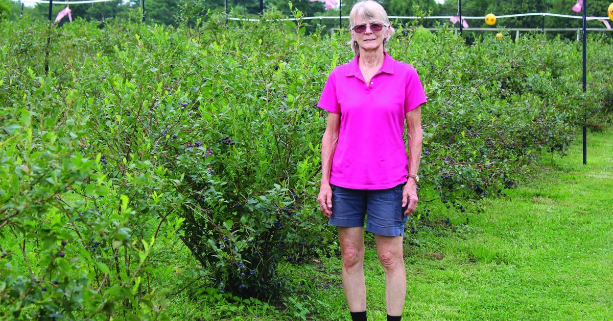 Chronicle farming spotlight: Raspberry Knoll Farm