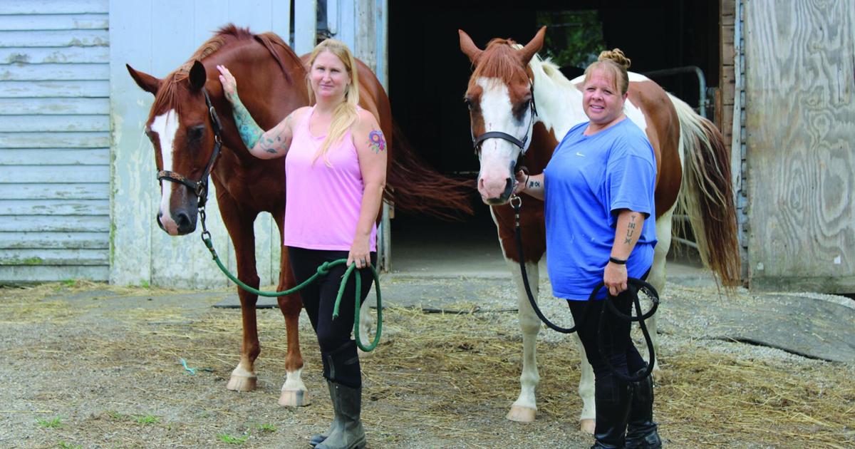 Chronicle Farming Spotlight: Summerhall Stables