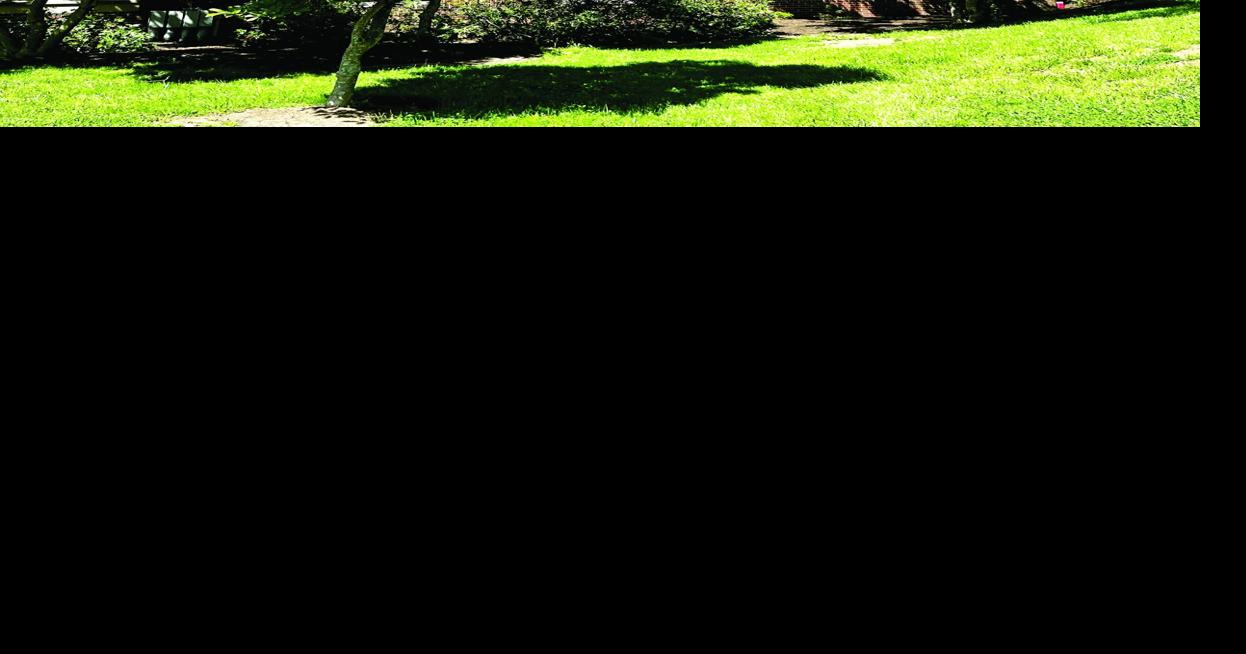 ‘Hartford HealthCare bought this election’