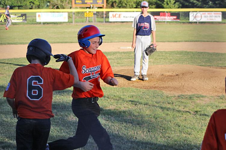 2014 Intermediate Division World Series bracket, Local Sports News