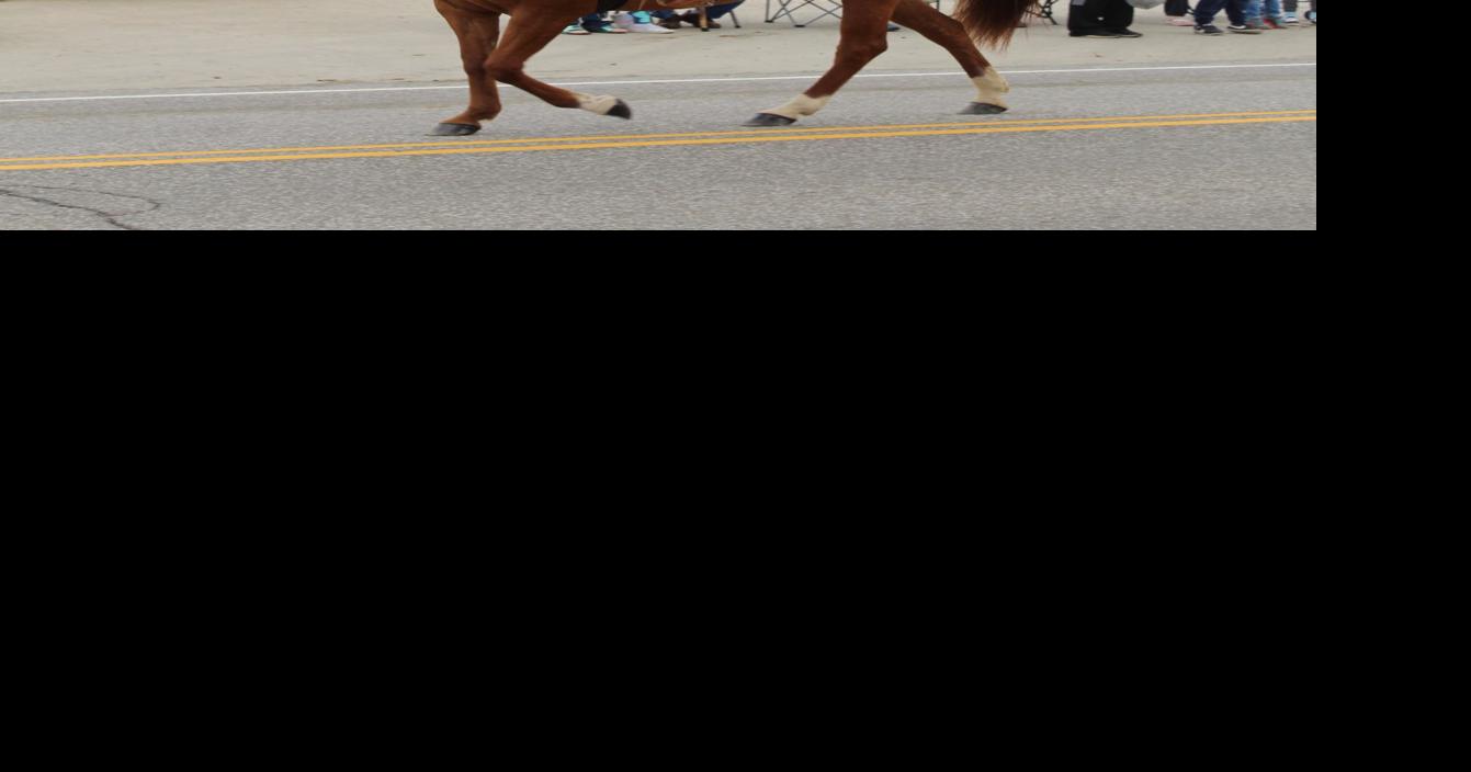 Spartansburg Community Fair parade winners announced News