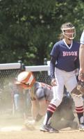 Corry softball ousted by undefeated Bison