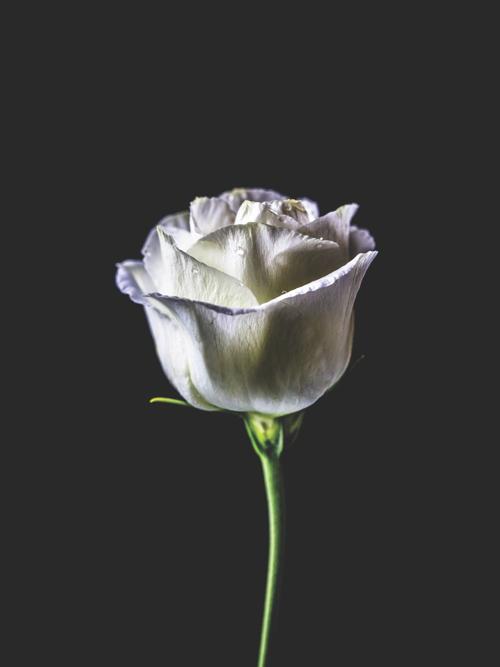 Funeral homes