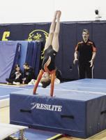 Tumbling Tigers level 2 team brings home banner