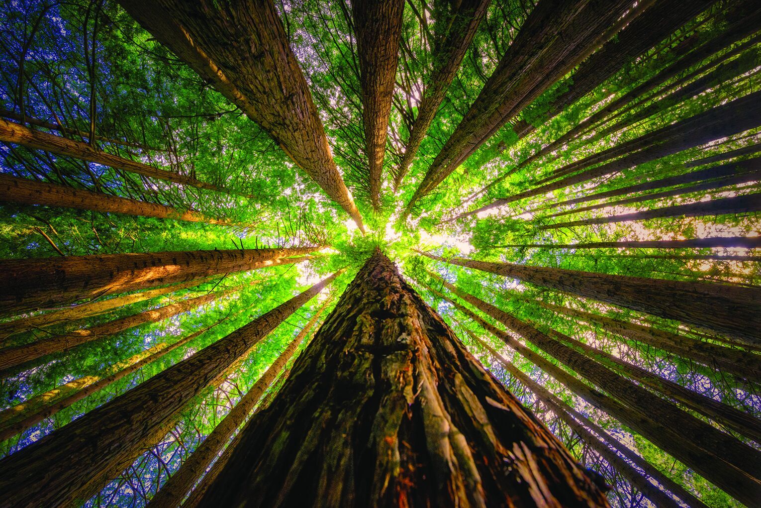 Warren Usfs Warren to anchor new regional hub as USFS undergoes restructuring ...