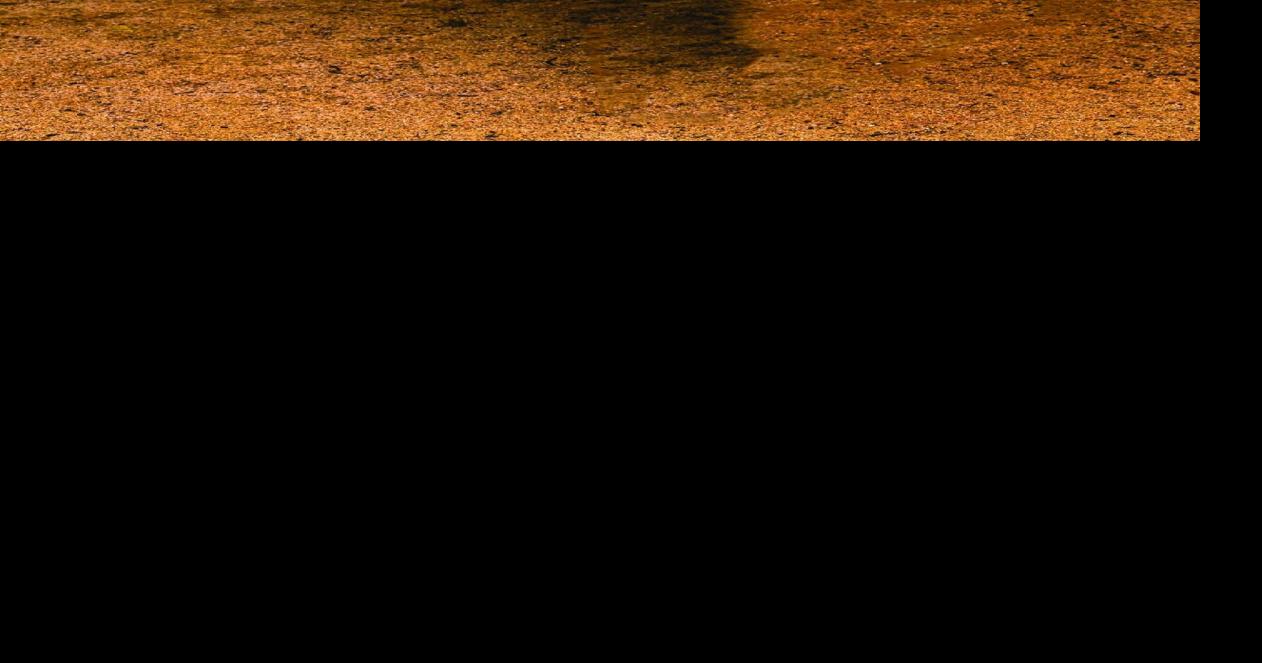 Heat advisory in effect for Erie, Crawford counties